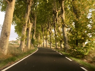 France continues to inspire.