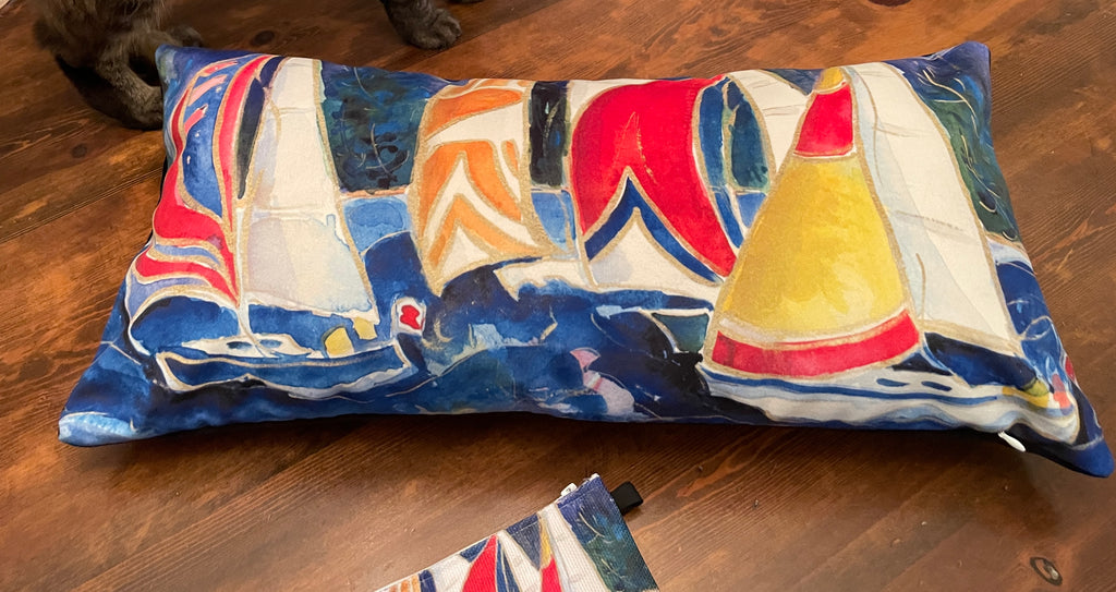 KEEPING PACE Velvet Pillow