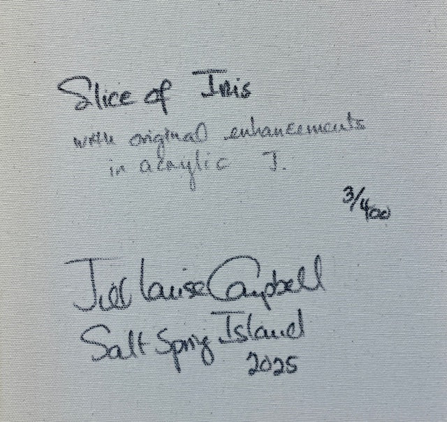 Slice of Iris Enhanced 13X36. Original Enhanced  #3/400