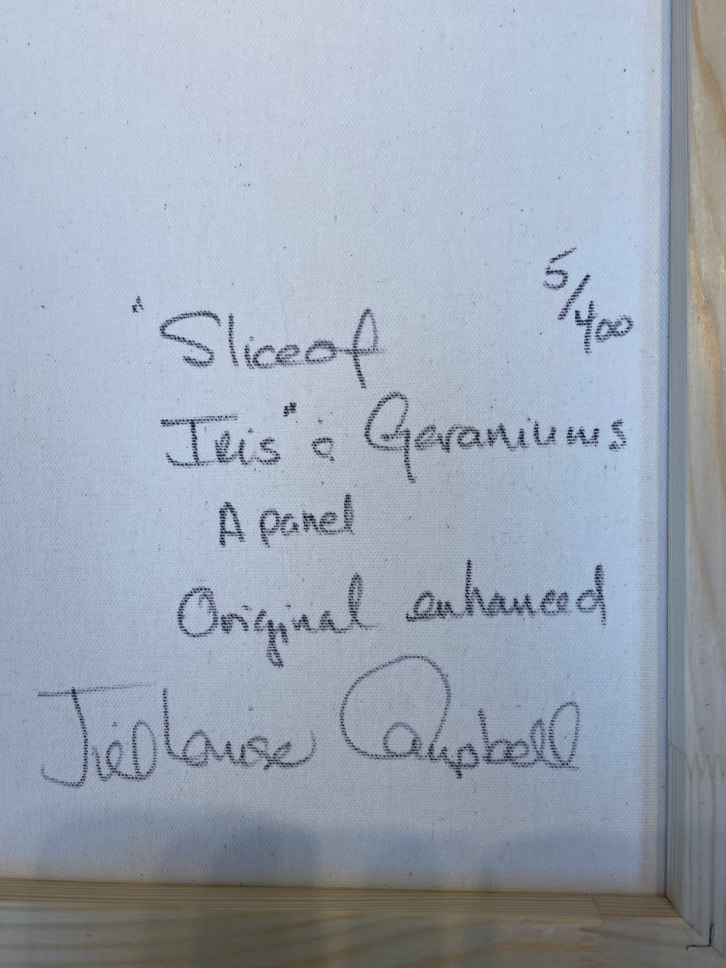 ‘Slice of Iris’ a panel 13" X 36" a unique original enhanced limited edition.