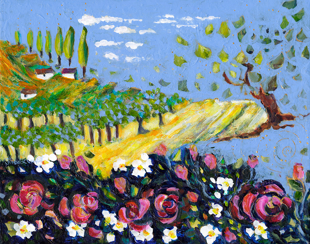 Field of Roses