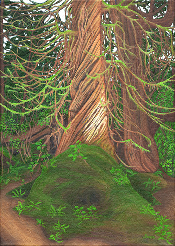 Grand Mother Tree
