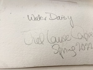 Water Daisy