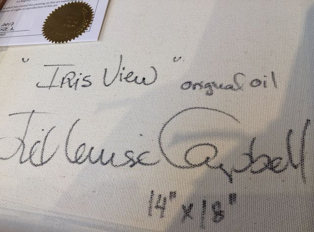 ‘Iris View’ original