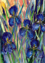 Morning Iris