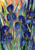 Morning Iris : Art Print