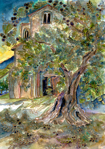 Olive and Stone