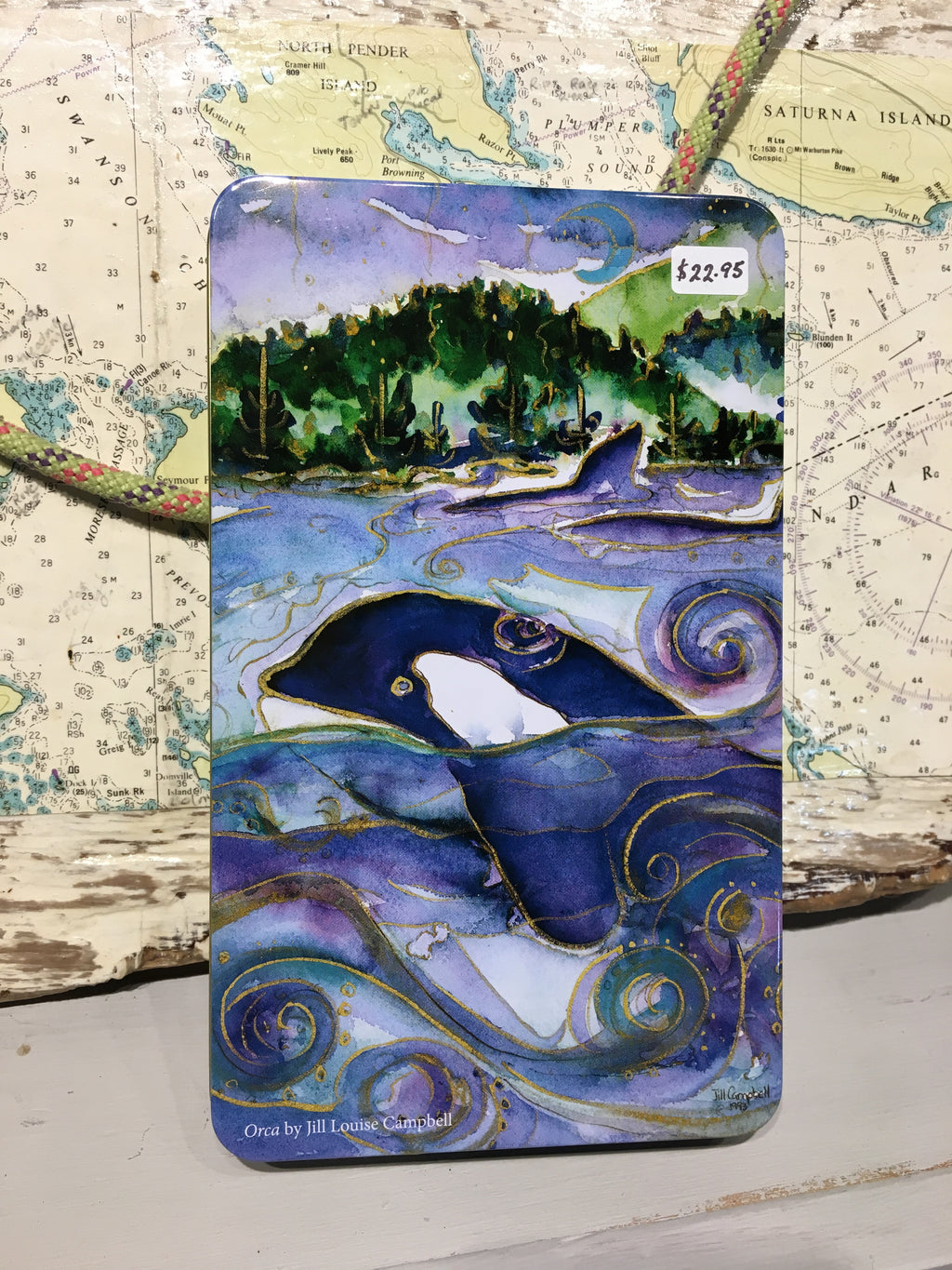 Rogers Chocolate: Orca