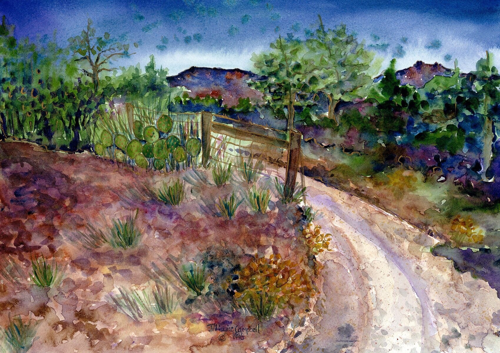 Sedona Evening : Art Print