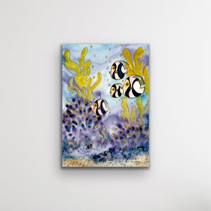 Coral Reef