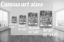 Load image into Gallery viewer, Bellissimo